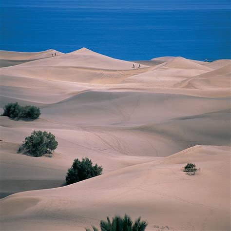 Dunas De Maspalomas Gran Canaria Ck Fischer