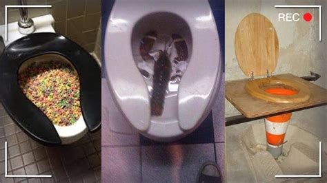 Dél Amerika Jellegzetes ó Drágám Cursed Images Of Toilets Síelés