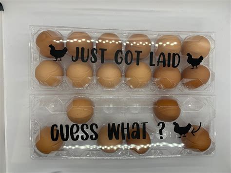 Funny Egg Cartons Etsy