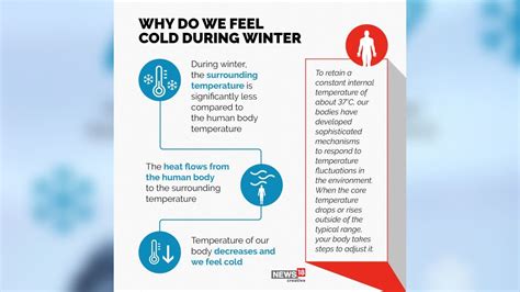 Why Do We Feel Cold In Winter And How Our Body Protects Itself From The