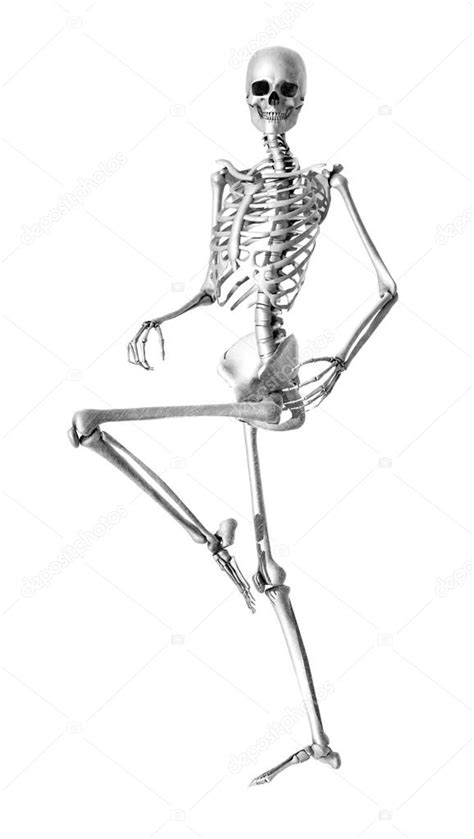 Skeleton Pencil Drawing Skeleton Standing Pencil Drawing Style