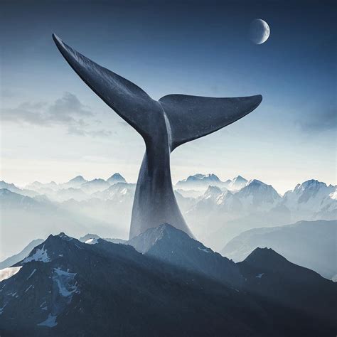 Surreal Digital Art By Justin Peters Surreal Photos Whale Art Whale