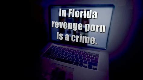 Is Floridas Revenge Porn Law Working Wfts Tv