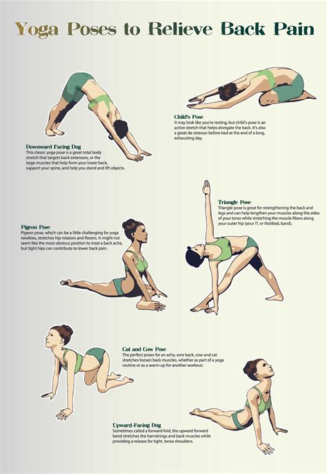 Yoga Asanas Back Pain Yoga For Health
