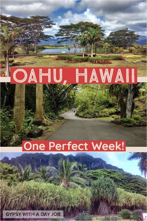 Your Week In Oahu Can Be The Trip Of Your Dreams Or It Can Be Hordes