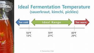 What 39 S The Best Temperature For Fermenting Veggies Youtube