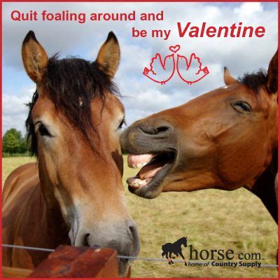 O cousin kate, my love was true,your love was writ in sand:if he had fooled not me but you,if you had stood where i stand,he'd not have won me with his love,nor bought me with his land. Horse Valentines Day Gifts | Horses, Horse quotes, Equestrian problems