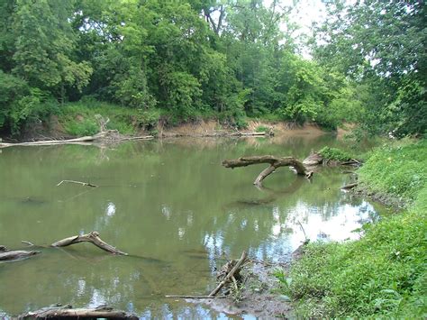 Filebig Walnut Creek Ohio Wikimedia Commons