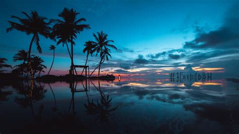 Download Wallpaper 3840x2160 Palm Trees Sunset Ocean