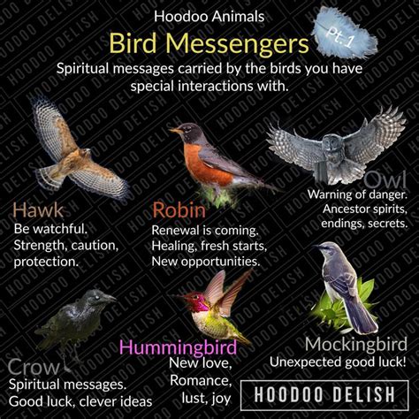Hoodoo Animals Bird Messengers ~~ In 2021 Hoodoo Animal Spirit