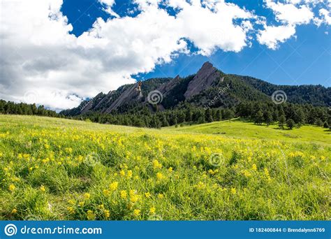 Spring Flowers At The Boulder Flatirons Stock Photo Image Of