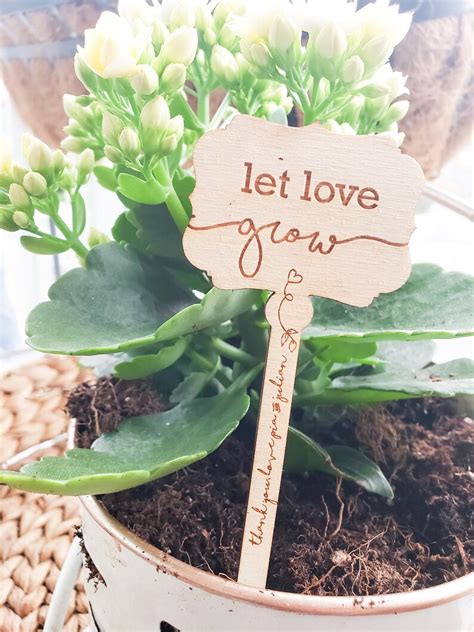 Plant Wedding Favors Let Love Grow Succulent Stake Plant Tags Etsy