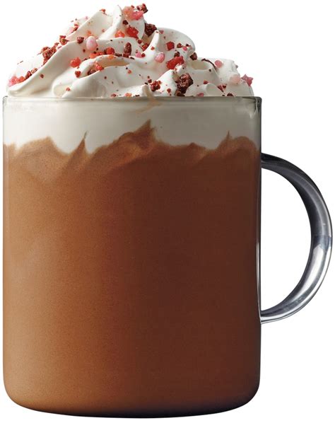 Hot Chocolate Caffè Mocha Cordial Starbucks Chocolate Png Download
