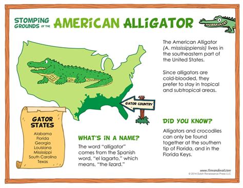 Where Do Alligators Live Tims Printables