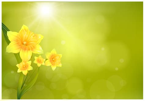Daffodil Background Psd Free Photoshop Brushes At Brusheezy