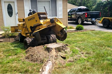 Tree Stump Removal Services In Commerce Mr Stump Grinding