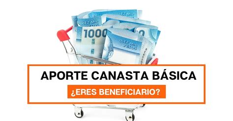 Aporte Canasta B Sica Revisa Con Tu Rut Si Eres Beneficiario