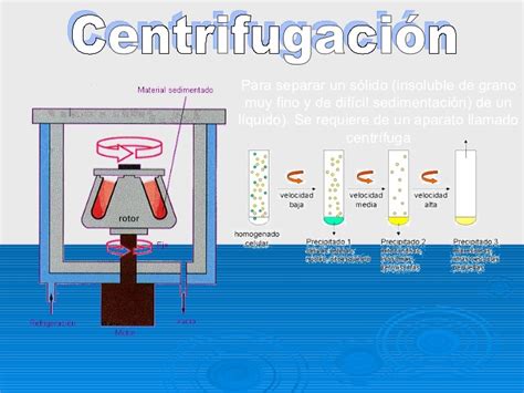 Ciencias