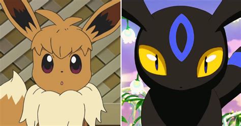 Find out which cards from the black & white series still shine. Pokémon: 10 Facts About Pokémon Evolution Fans Didn't Realize