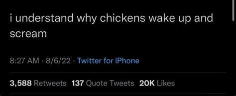 I Understand Why Chickens Wake Up And Scream Am Twitter For Iphone