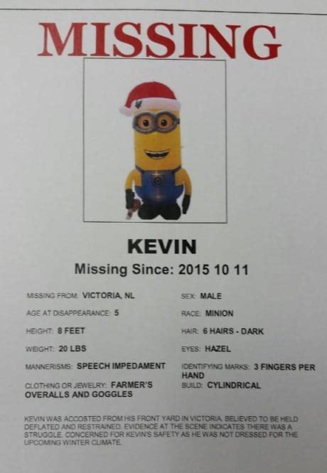 Case Of The Missing Minion Rcmp Replace Stolen Christmas Decoration In