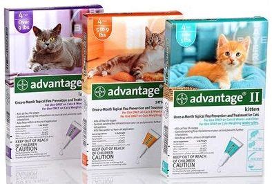 Cheap pet meds at the best prices are available from our online pet pharmacy service. Free Advantage II for Cats Coupon at Pet Supermarket - See ...