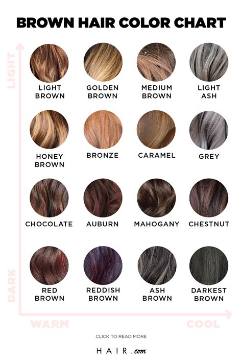Brown Hair Dye Color Chart