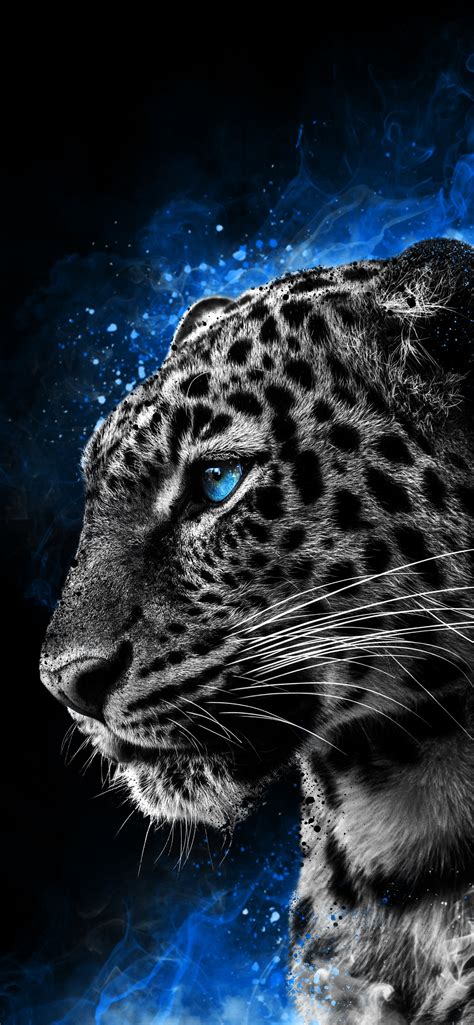 1242x2688 Cheetah Galaxy Eyes Iphone Xs Max Hd 4k Wallpapers Images