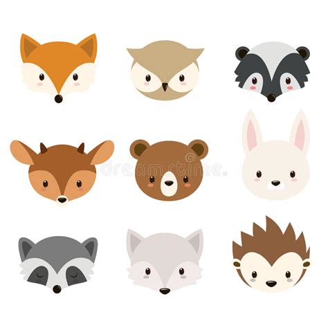 Cute Woodland Animals Collection Stock Vector Illustration Of