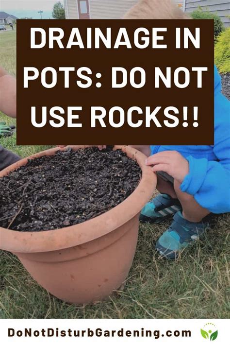 Good Drainage In Pots Do Not Use Rocks And Root Rot Explained Do Not