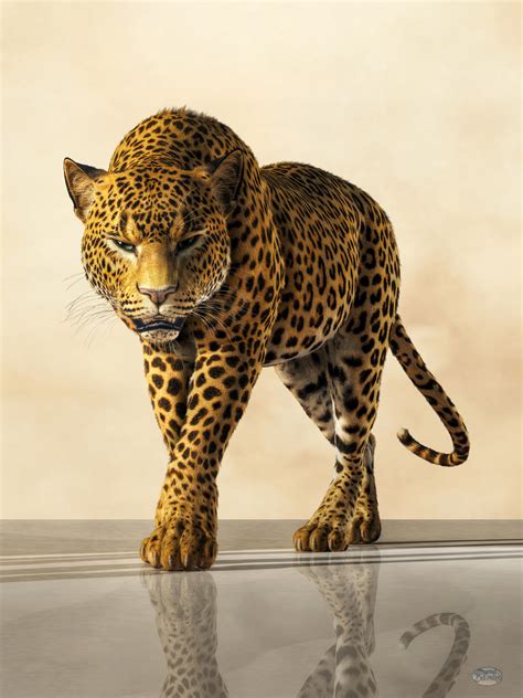 Leopard By Deskridge On Deviantart