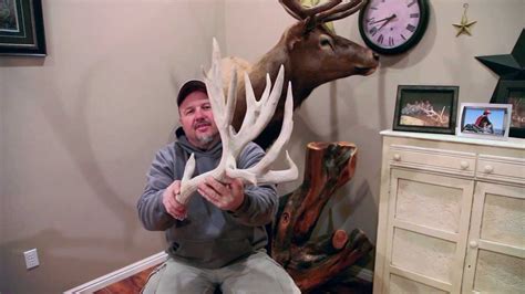 Giant Mule Deer Sheds From Wyoming And Arizona Youtube