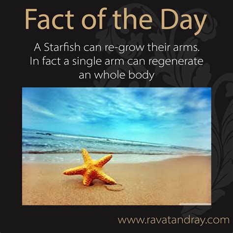 Pin By Ravat And Ray Dental Care On Fact Of The Day Fact Of The Day