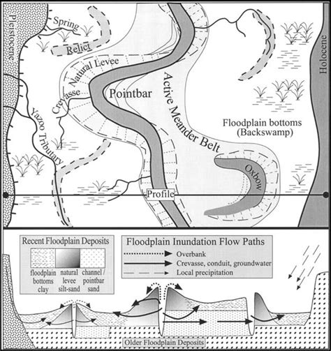 Meandering River Floodplain Deposits And Processes Of Inundation For A