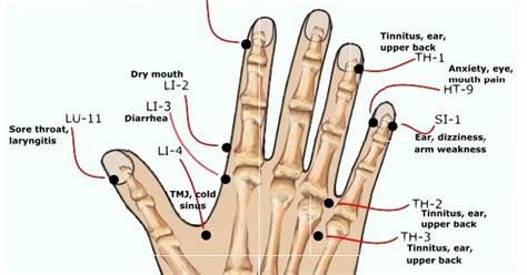Healthmindbody Acupressure Points Of The Hand