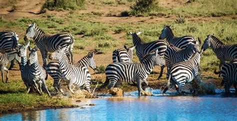 Amboseli National Park The Chyulu Hills And Taita Kenya Journeys By