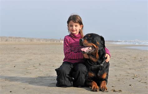Kind Und Rottweiler Stockfoto Bild Von Hund Tier Draussen 11452480