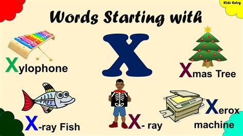 Words Starting With Letter X Words Beginning With X Words That
