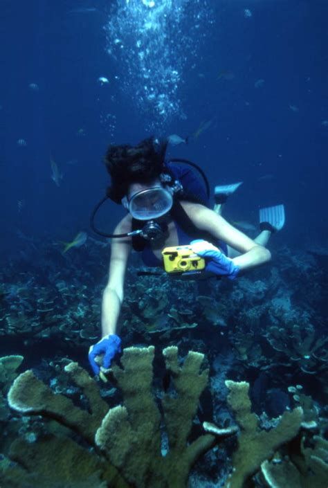 Florida Memory Scuba Diver Taking A Picture Underwater At The John