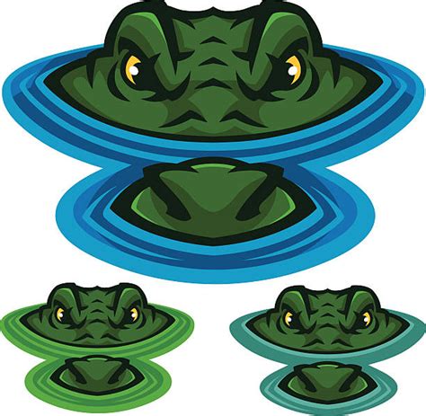 Gatorpic Illustrations Royalty Free Vector Graphics And Clip Art Istock