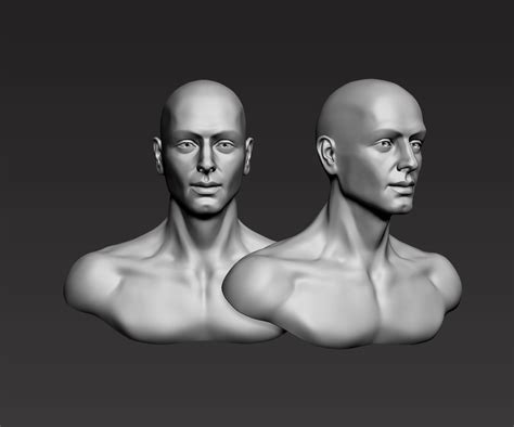 Young Man Head 3d Model 3d Printable Cgtrader
