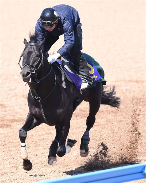 ダノンキングリー (danon kingly) は、日本の競走馬。主な勝ち鞍は2019年の毎日王冠（gii）、共同通信杯（giii）、2020年の中山記念（gii）。 馬名の意味は冠名＋王にふさわしい、王位に君臨することを願って。 【大阪杯】ダノンキングリー変わらず順調 G1勝利の悲願へ準備 ...