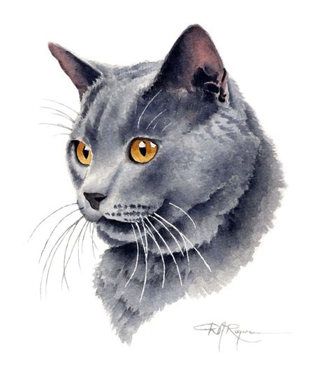 Gray Cat Portrait Art Print By Artist D J Rogers Etsy Watercolor