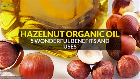 5 Wonderful Benefits And Uses Of Hazelnut Organic Oil YouTube