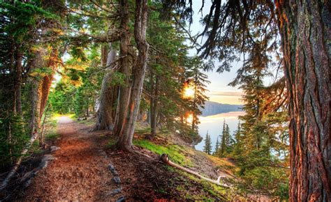 Forest Path Crater Lake Trees Lake Hdr Sunset Hill