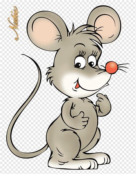 Criança De Desenho Animado Do Mouse Ratos Jogo Mamífero Animais Png