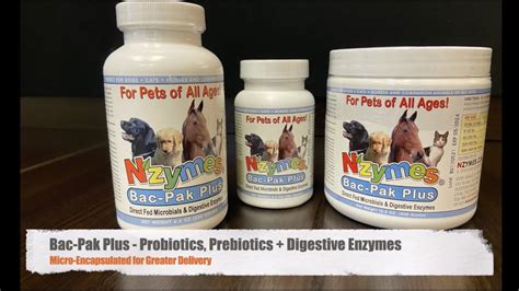 Nzymes Bac Pak Plus Digestive Enzymesprobiotics Youtube