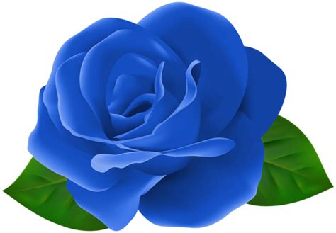 Blue Rose Flower With Leaves Png Clipart In 2023 Rose Flower