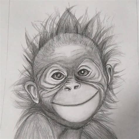 12 Fantastic Pencil Monkey Drawing References Beautiful Dawn Designs