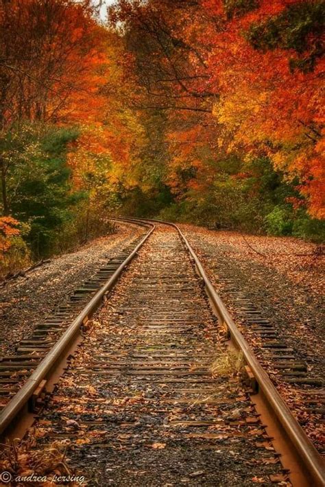 Autumn Trees Train Tracks Photography Scenery Train Tracks
